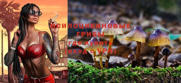 не бодяженный Бородино