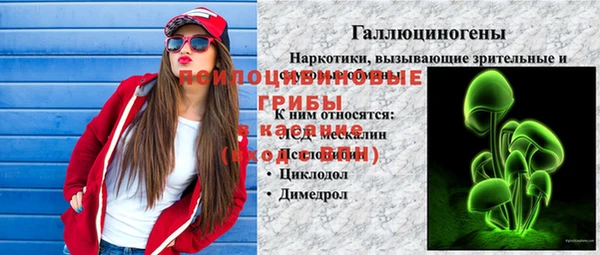не бодяженный Бородино